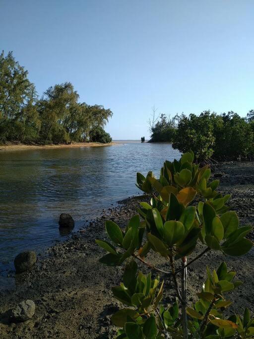 Case Creole Independante Proche Mer La Gaulette Luaran gambar